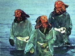 Image of Sea Devils